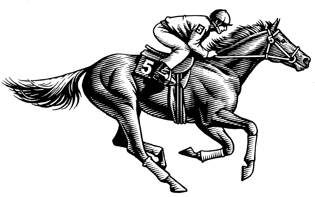 pen and ink illustration of a racehorse and its rider