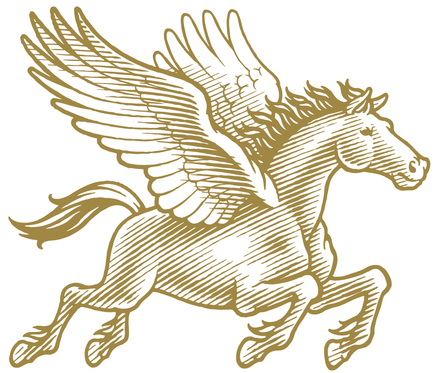 pen and ink illustration of a winged horse for packaging