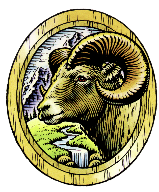Pen and ink and watercolor illustration of a ram for a beer label
