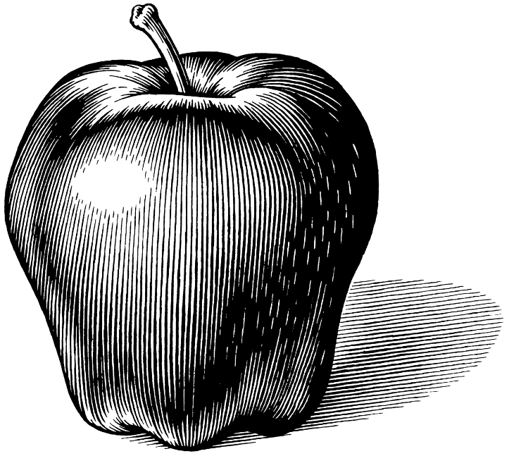 Pen and ink illustration of an apple for a newspaper ad