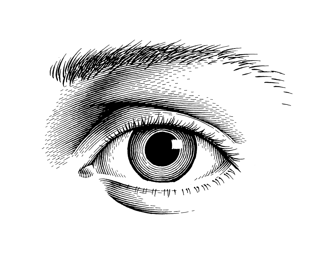An animated pen and ink illustration of an eye