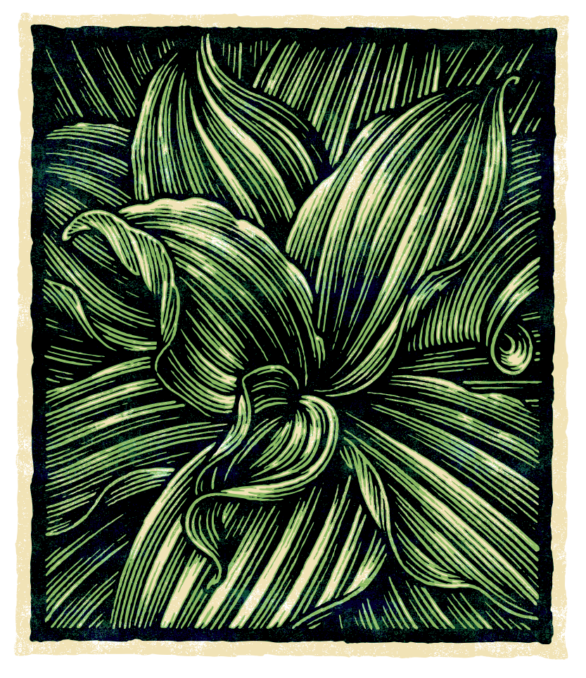 Vector art illustration of wild plant