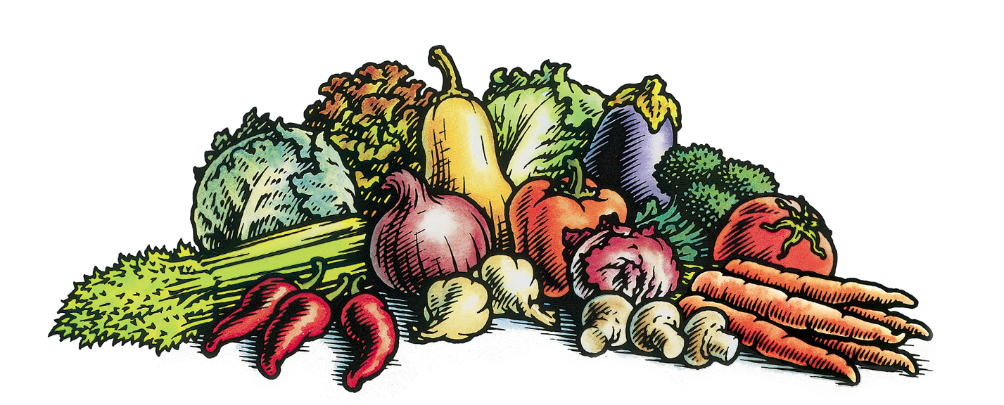 Watercolor llustration of vegies