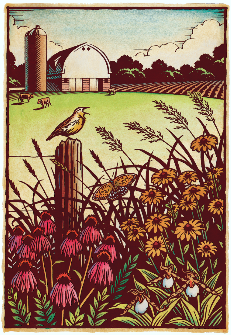 A pen and ink and watercolor illustratin of a lighthouse for a poster