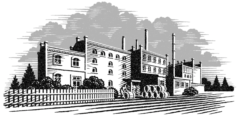 Pen and ink llustrations drawn for the bottles of a brewery.
