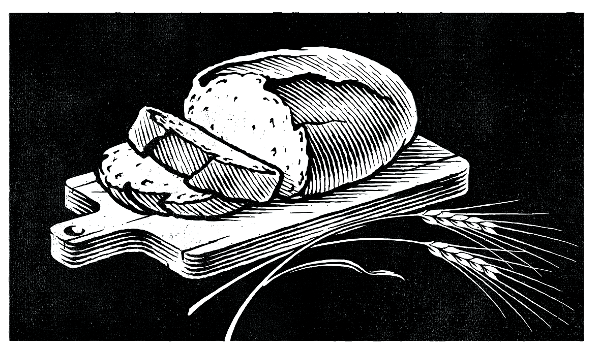 Hand drawn pen illustration of bread by the illustrator Ken Jacobsen.