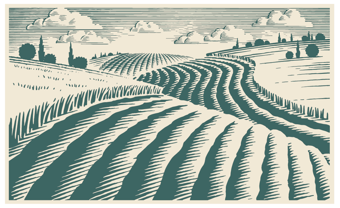 Pen and ink landscape by the illustrator Ken Jacobsen.